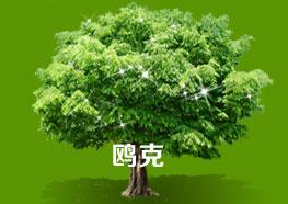 西安鸥克新型建材有限公司